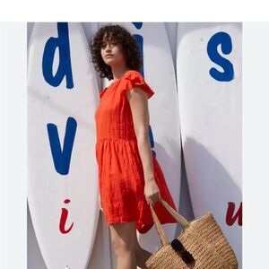Velvet Shift Dress, Orange 🍊 By Graham & Spencer